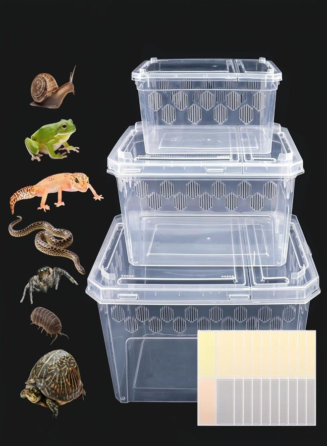 Dmnnlp 3Pcs Reptile Feeding Box Set, 3-Size Plastic Reptile Critter Keeper with Tags, for Isopods Snails Sling Geckos Frog Spiders Turtles Scorpion Serpents Tarantulas and Breeding Worms(Clear) - Image 1